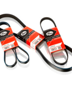 CORREA 6PK 1463 GATES